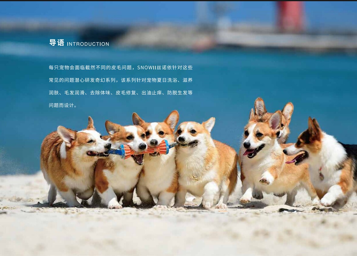 丝诺依SNOWII饺子妹妹萌宠用品