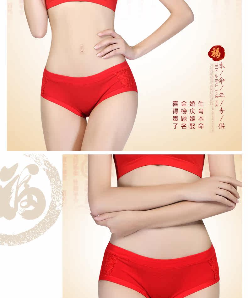 Slip jeunesse LS131 en coton - Ref 669273 Image 18