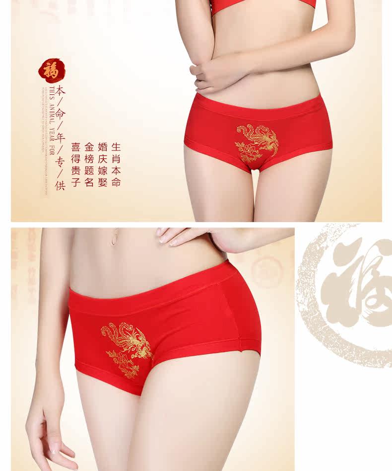 Slip jeunesse LS131 en coton - Ref 669273 Image 15