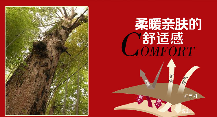 Slip jeunesse KO1062 en autre - Ref 669313 Image 8