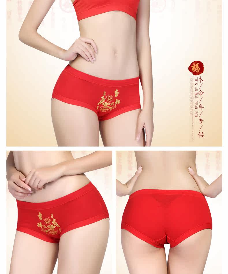 Slip jeunesse LS131 en coton - Ref 669273 Image 21