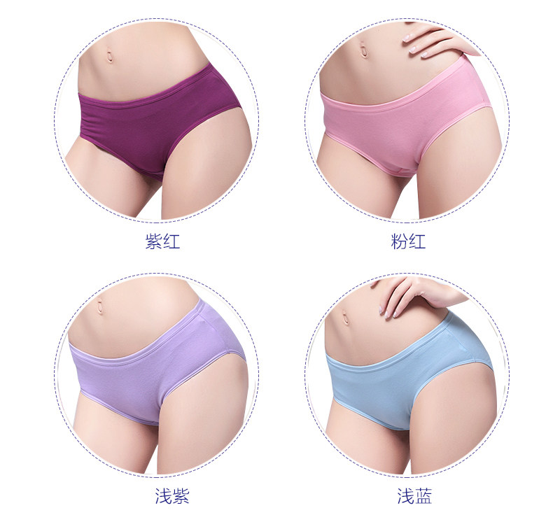 Slip jeunesse G1116 en coton - Ref 669253 Image 13