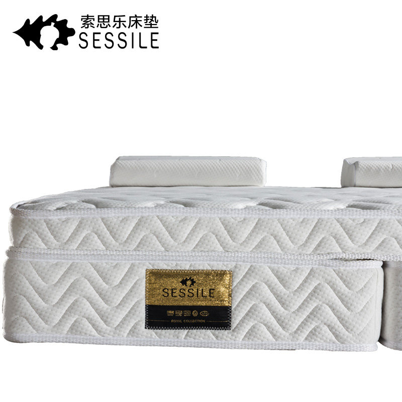 SESSILE��Ȼ�齺���沼����