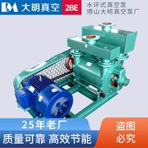 2BE water ring vacuum pump 2BEA153 202 203 252 2BEA253 303 353 2BEC40 42