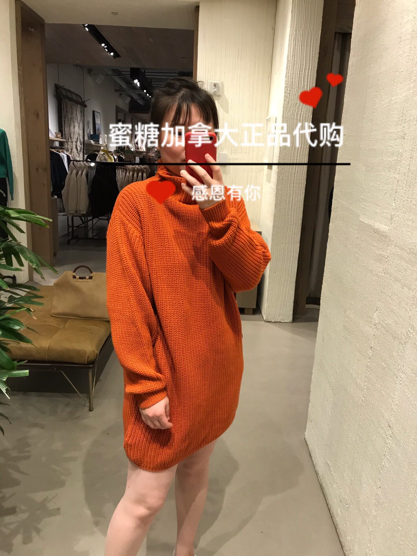 Aritzia Wilfred Montpellier Dress美麗奴 