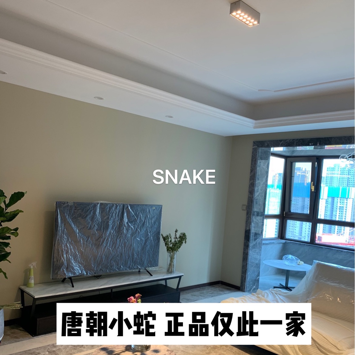 Tang Dynasty small snake SNAKE 12th house grid bright downlights do not suspend the ceiling living room dining room bedroom high color rendering