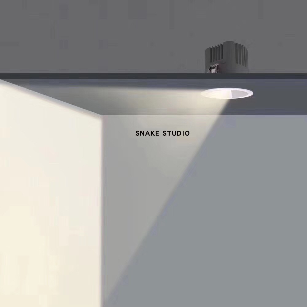 SNAKE - Magellan Polarized Walls Washing Light