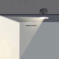 SNAKE-Magellan Polarized Wall Washer