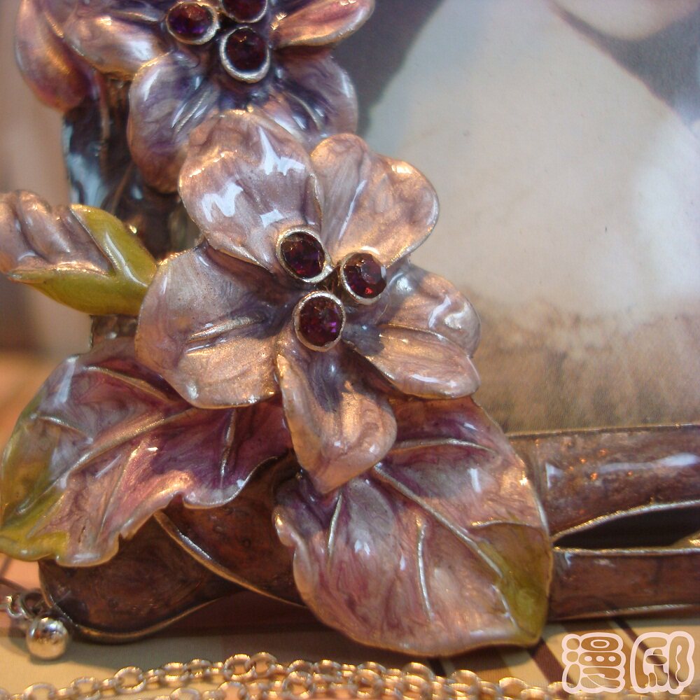 ��ۡ���PF11161