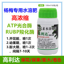 Special water-soluble fertilizer for bayberry Gaolida flower protection fruit swelling coloring sweetness high concentration photosynthetic enzyme carboxylase