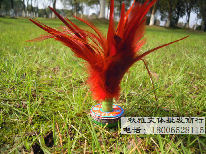 Xác thực đại bàng lớn nhiều màu lớn bọ cạp trò chơi croquet handmade lông bọ cạp - Các môn thể thao cầu lông / Diabolo / dân gian 	bán cầu lông đá