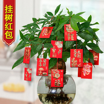 New Year Hanging Tree Red Package Hanging Li is a sealed rope decoration year orange year flower pot home store arrangement