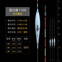 Kunlun Fish T-009