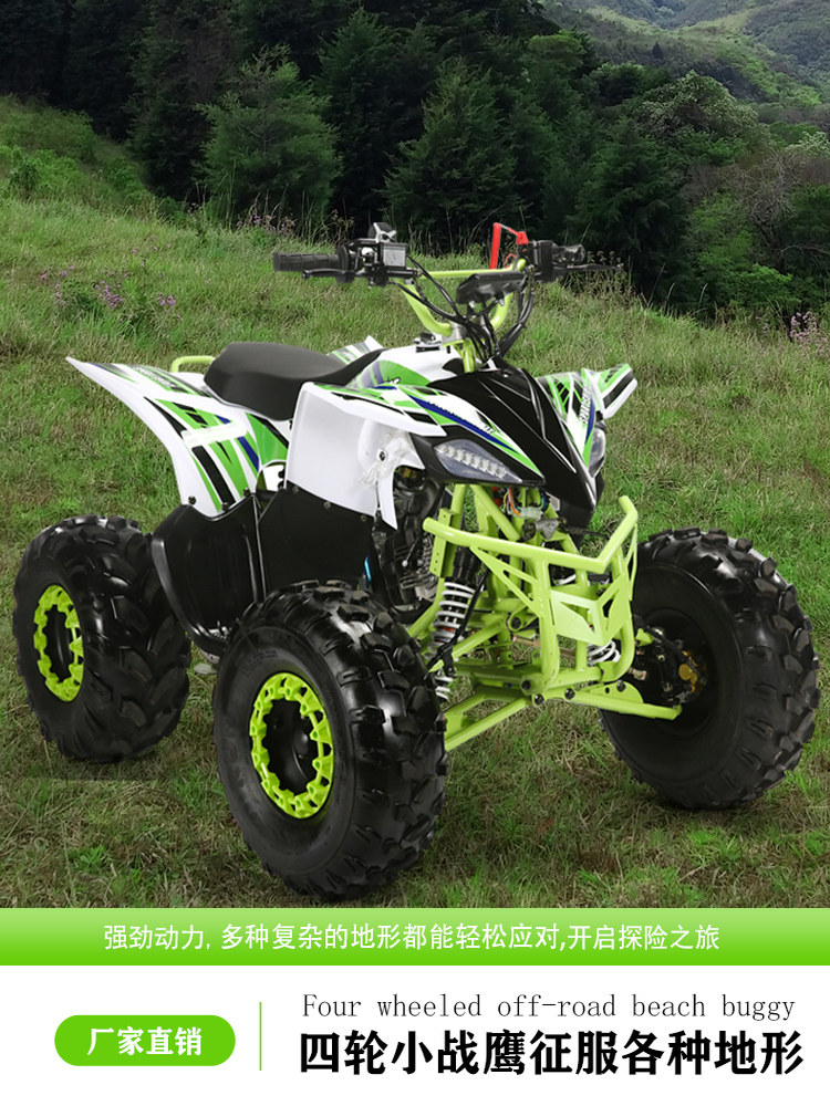 Little Eagle Four-Wheel Mountain Off-Road Motorcycle Atv 125Cc Gasoline Adult Mountain All-Terrain Vehicle