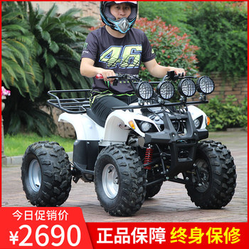 Little Bull Beach Bike Electric Four-Wheel Off-Road Motorcycle 48V Mountain All-Terrain Vehicle 60V for Use in Parks and Scenic Areas