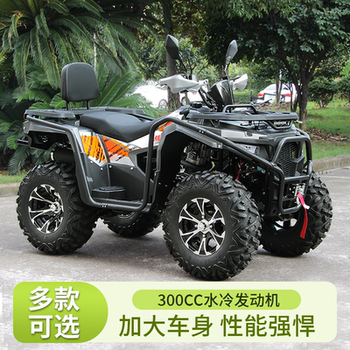 Atv Four-Wheel Off-Road Motorcycle Automatic Cvt Venue Atv Raptor All-Terrain Vehicle Gasoline Mountain Bike