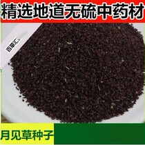 Chinese herbal medicine shop Chinese herbal evening primrose seed Evening primrose seed 500g guarantee quality