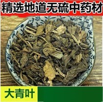 Fine Chinese Medicinal Medicinal Leaves Daqinggen 500g Chinese Herbal Medicine Shop