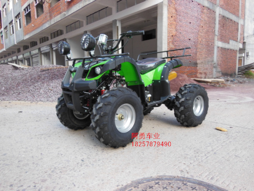 Lớn và nhỏ bull bãi biển trục xoay bốn bánh xe máy xe thể thao 125-250cc xe đạp leo núi off-road vehicle