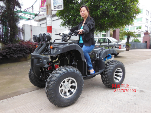 Lớn và nhỏ bull bãi biển trục xoay bốn bánh xe máy xe thể thao 125-250cc xe đạp leo núi off-road vehicle