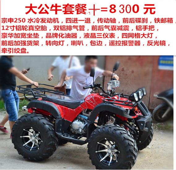 Lớn và nhỏ bull bãi biển trục xoay bốn bánh xe máy xe thể thao 125-250cc xe đạp leo núi off-road vehicle