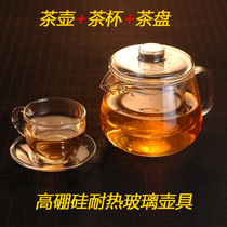 Glass pot Handmade heat-resistant glass tea set Flower tea pot Tea cup Kung Fu tea set Little Penguin pot 2 cups