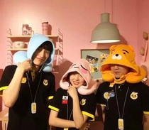 Cartoon portable travel airplane hooded headrest nap pillow lion cute flannel nap cover shawl