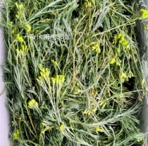 Fresh permanent flower batik chamomile with pole to ship RMB35  catties