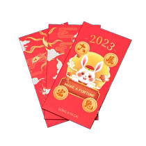 Red envelope custom logo printing annual profit company red envelope bag 2024 customized corporate red envelope profit sealing the Year of the Dragon hot stamping