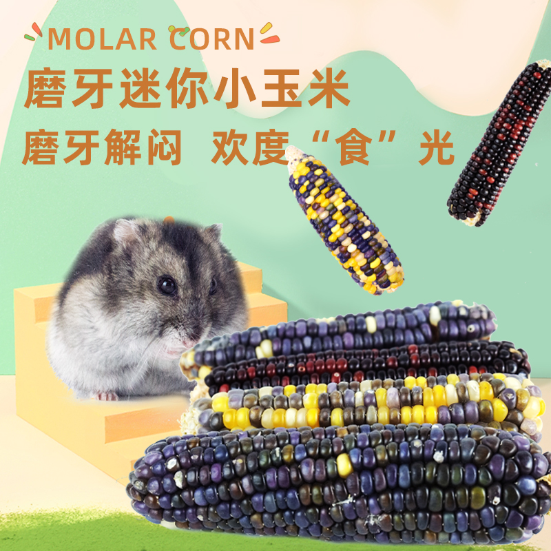 Bull Pampers Mini Corn 160g Hamster Golden Silk Bear Flowers Branch Rat Rabbit Zilong Cat Guinea Pig Grinding Tooth Nutrition Snacks