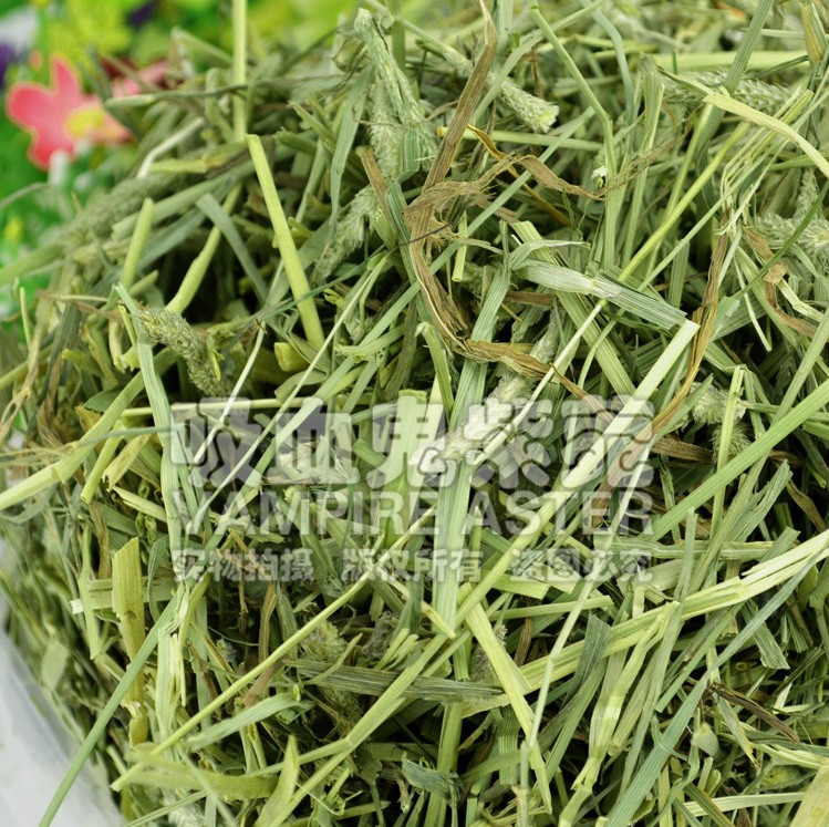 Timoxi drafts the grass 500g imported grass grass grass grass grass grass grass grass grass grass grass grass grass grass grass grass