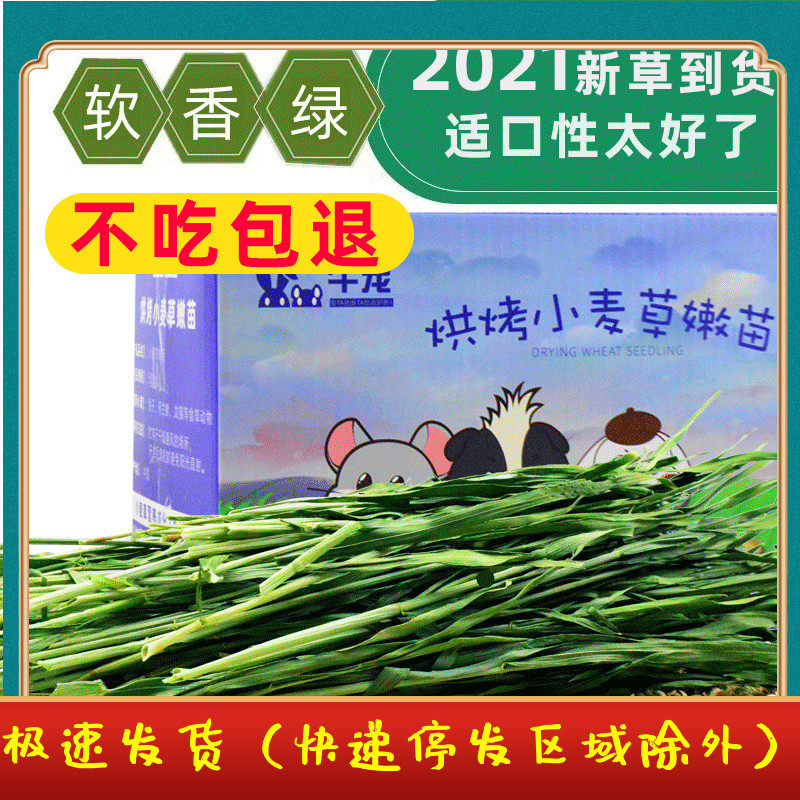 2022 Selected High Quality Wheat Grass Hay 500g Wheat Tender Seedlings Panicleless Rabbit Dutch Pig Guinea Pig Rat Totoro Hay