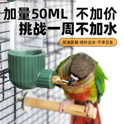 Parrot waterer bird waterer striker kettle bird waterer rutin ໄກ່ອັດຕະໂນມັດ waterer box supplies