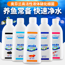 Aofinland nitrifying bacteria Seawater fish tank with fresh water digestion bacteria fish culture active nitrifying bacteria water purification agent