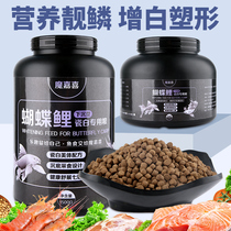 Butterfly carp special fish feed Taiwan dragon and phoenix koi whitened fish food ornamental fish sinking white gold fish grain fish
