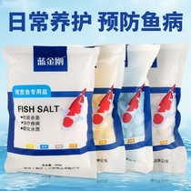 Special salt for ornamental fish sterilization salt disinfection salt aquarium salt aquarium salt fish salt yellow powder mineral salt mineral salt