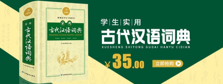 正版包邮 初中高中学生实用英汉汉英双解大词