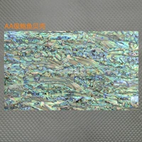 AA -Level Abalone Shell