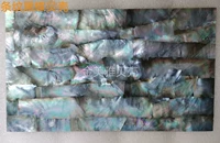 Полосатая черная оболочка бабочки