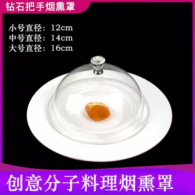 Handmade art art refined glass smoked cover molecular gourmet utensils hotel chef supplies artistic conception dish creative tableware