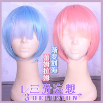 Delusional Zero Starting Alien Life Cosmos Fake Rem Rem Remram Young Maid Wig