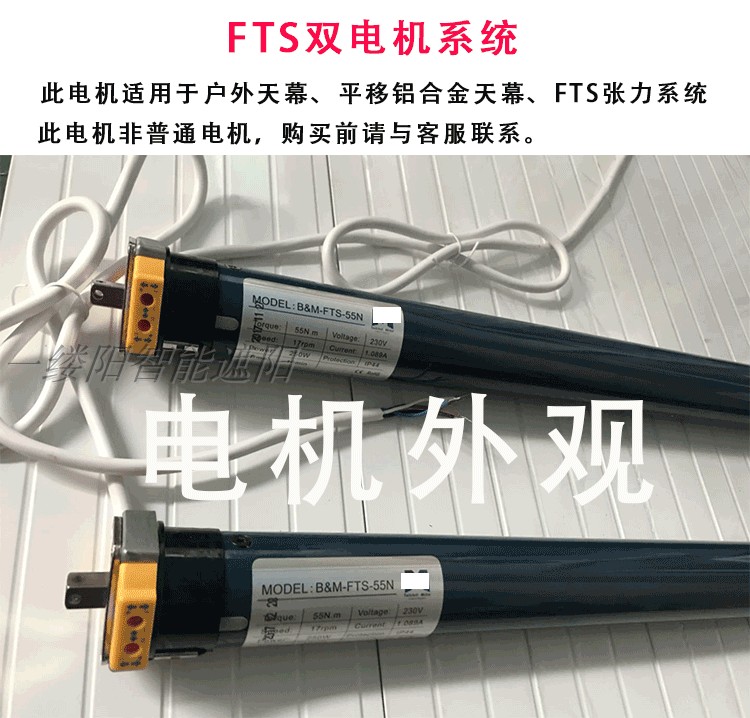 FTS curtain double motor outdoor curtain metal roll curtain motor control system remote control system