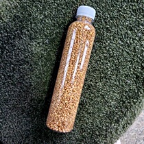 Cat grass seed bottled wheat seed wheat grass cat snack whole bottle of wool hair