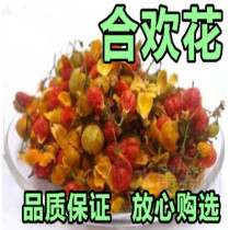 1 piece of acacia flower acacia flower tea 500g dry acacia flower tea flower tea