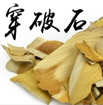 Chinese herbal medicine piercing stone Zhe root Chuan broken stone ground cotton root pull cattle into stone iron fence root 500 grams
