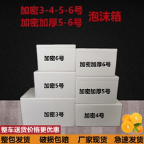 Encryption 3 4 5 6 encryption thickened 5 6 foam box Frozen food preservation box Insulation freezer wholesale
