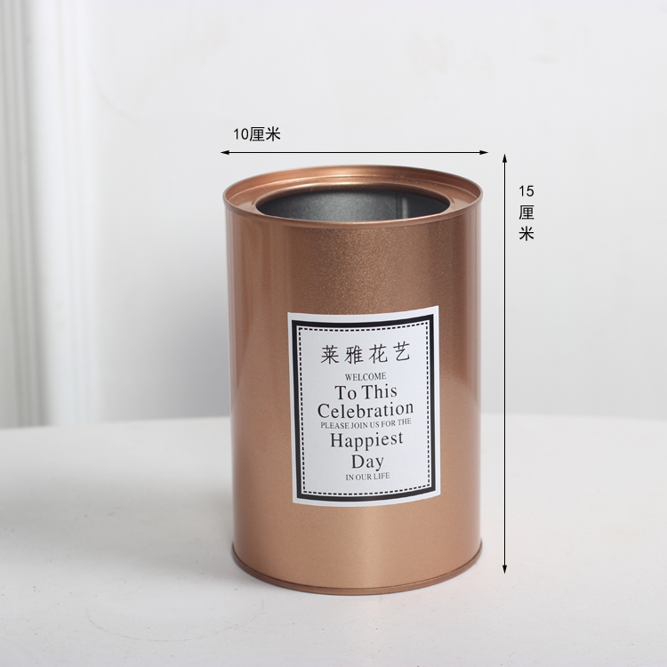 Đen tin xô nhân tạo hoa chậu hoa giỏ hoa INS Bắc Âu gió sắt phụ kiện - Vase / Bồn hoa & Kệ chậu cây để bàn