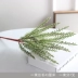 Nước cỏ nhỏ cỏ nhân tạo hoa giả hoa lụa hoa nhựa hoa xanh trang trí cây trồng trong chậu ngoài trời hoa trang trí hàng loạt - Hoa nhân tạo / Cây / Trái cây lan giả Hoa nhân tạo / Cây / Trái cây