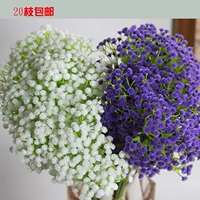 Gypsophila giả hoa mô phỏng bó hoa trang trí phòng khách hoa cưới ảnh studio cầm hoa ảnh đạo cụ hoa nhựa - Hoa nhân tạo / Cây / Trái cây cây trúc giả