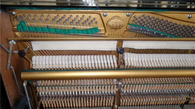 Western Jin - Solomon - Hàn Quốc và Nhật Bản đã sử dụng đàn piano Hàn Quốc nhập khẩu bài kiểm tra đào tạo thực hành thương hiệu thứ hai - dương cầm